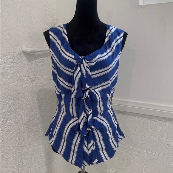 J. Crew Tops - J. Crew Blue White Striped Tie Front Top Size 6